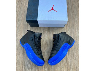 Air Jordan 12 Retro Sneaker