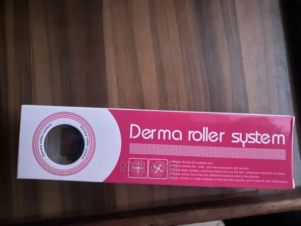 derma-roller-big-0