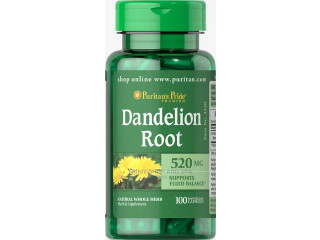 Dandelion Root