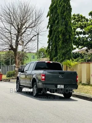 ford-f-150-2019-gray-big-2