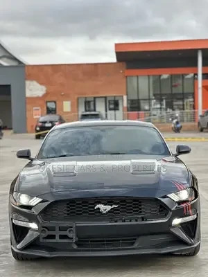 ford-mustang-ecoboost-premium-fastback-2018-black-big-3