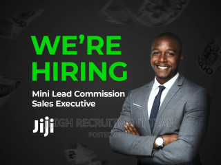 Commission Sales Executive