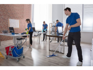 Office Cleaner Needed