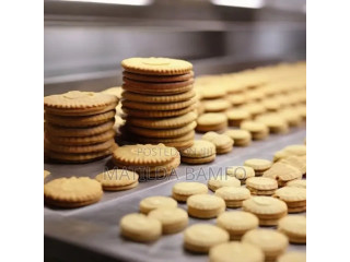 Biscuit Factory Workers