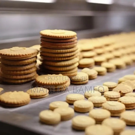 biscuit-factory-workers-big-0