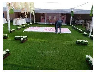 Artificial Green Carpet Grass for Rent