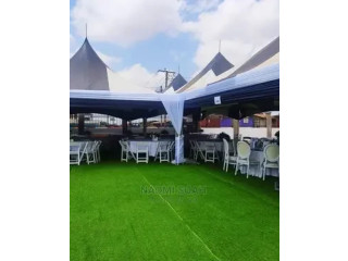 Do You Need Artificial Green Grass to Rent?