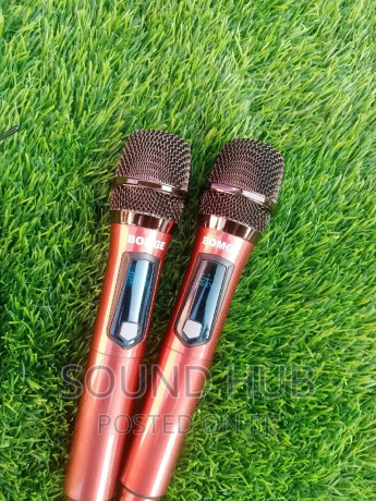 wireless-microphones-for-rent-big-0