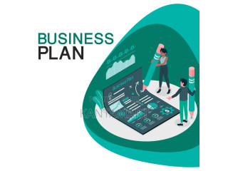 I Will Create a Detailed Business Plan for You