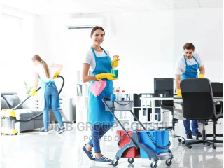 Home to Home Cleaners