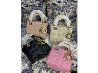 Luxury Dior Bag