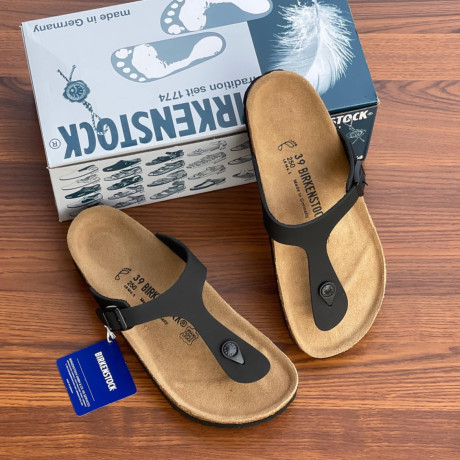 birkenstock-big-1