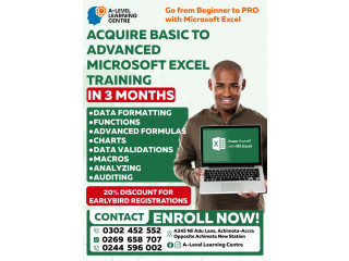 Learn Microsoft Excel Program (Basic to Advanced skills)