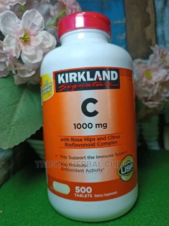 kirkland-signature-vitamin-c-with-rosehip-with-citrus-1000mg-big-0