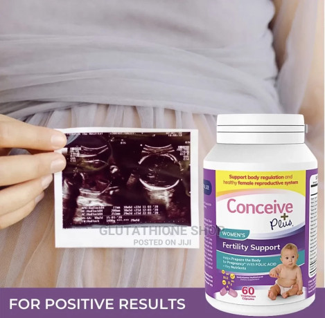 conceive-plus-fertility-womens-support-supplement-big-1