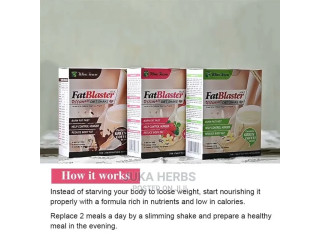 Fat Blaster Diet Shake ~ Easy to Loss Weight