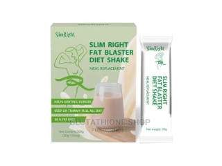 Slim Right Fat Blaster Diet Shake Weight Loss Meal