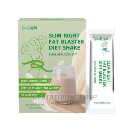 slim-right-fat-blaster-diet-shake-weight-loss-meal-big-0