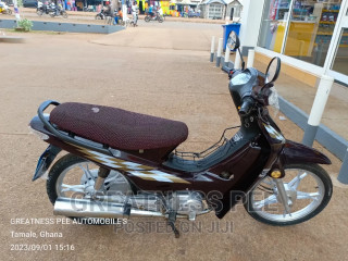 Luojia 110cc 2021 Brown