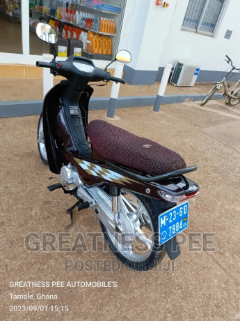 luojia-110cc-2021-brown-big-4