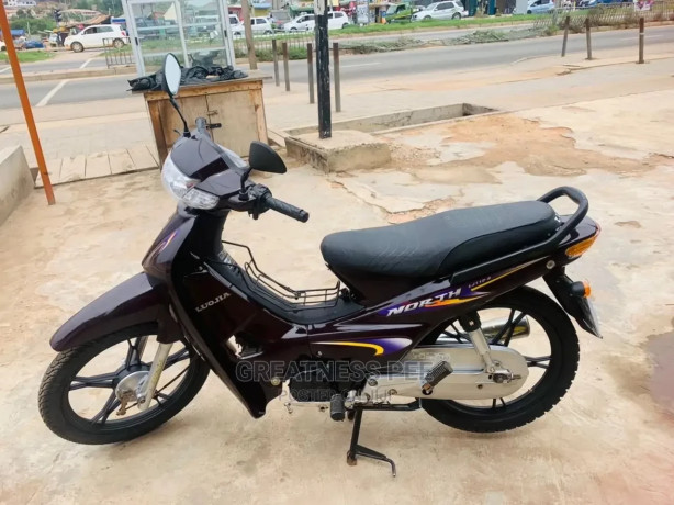 luojia-110cc-2020-brown-big-1