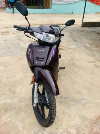 luojia-110cc-2020-brown-big-3