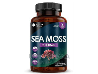 Sea Moss 2000mg Tablets - 120 Tablets - UK Product
