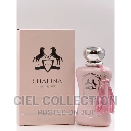 shalina-eau-de-parfum-100ml-inspired-by-delina-big-1