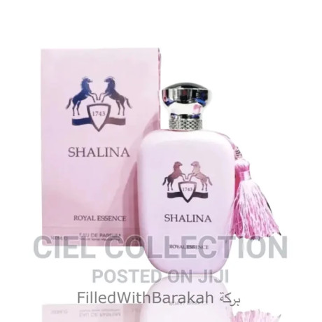 shalina-eau-de-parfum-100ml-inspired-by-delina-big-0