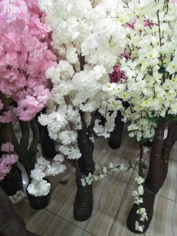 flowers-for-sale-big-2