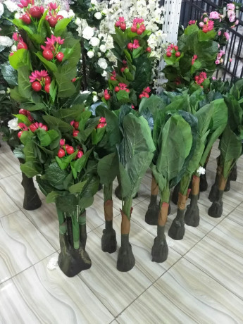 flowers-for-sale-big-0
