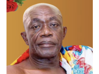 Michael Albert Kofi Owusu-Doome