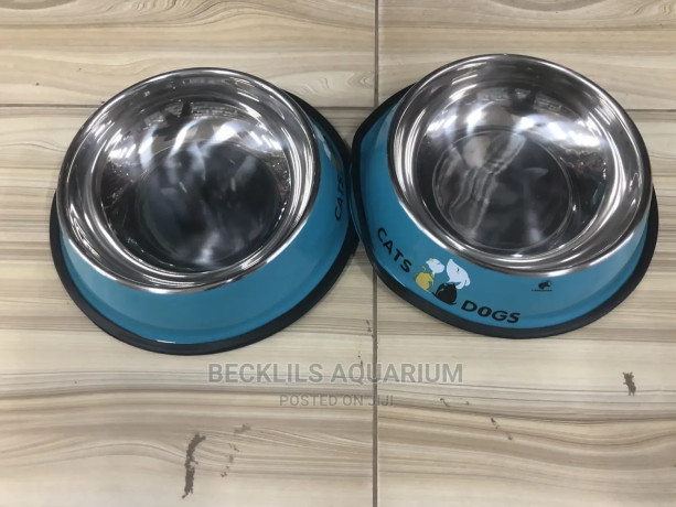 bowls-for-dogs-and-cat-big-1