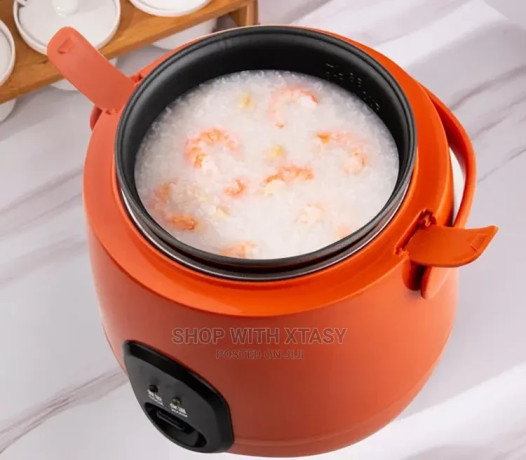 mini-12l-rice-cooker-big-1