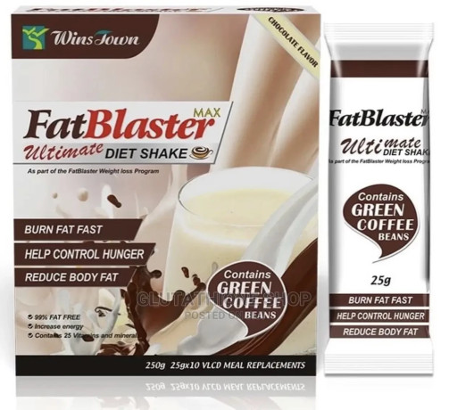 ultimate-fat-blaster-chocostrawberry-diet-shake-big-0