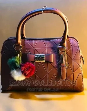 ladies-handbag-big-0