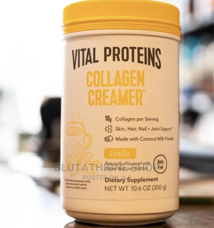 vital-proteins-collagen-coffee-creamer-big-1