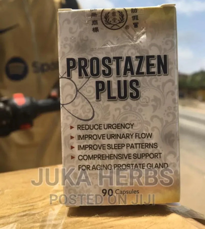 prostazen-plus-for-prostate-and-sexual-performance-big-0