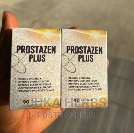 prostazen-plus-for-prostate-big-0