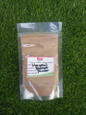 horsetail-extract-powder-food-grade-100grams-big-0