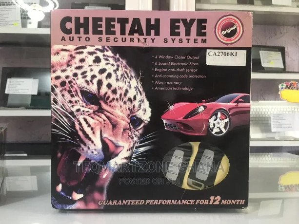 cheetah-eye-car-alarm-normal-big-0