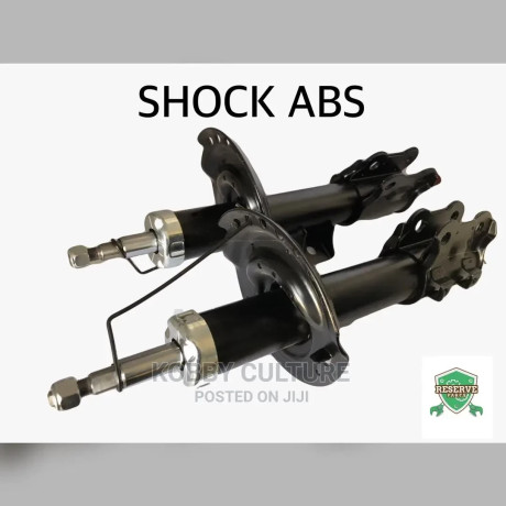 shock-absorbers-big-0