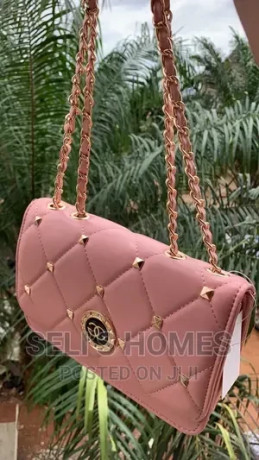 ladies-handbag-big-0