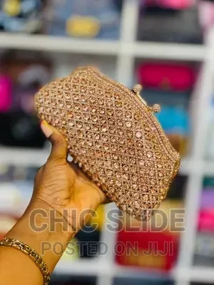 luxury-ladies-purse-big-2