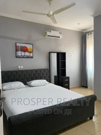 furnished-1bdrm-apartment-in-spintex-for-rent-big-0