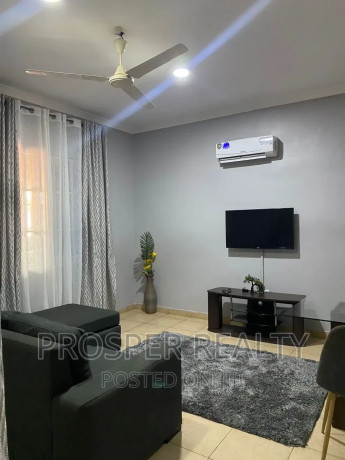 furnished-1bdrm-apartment-in-spintex-for-rent-big-3