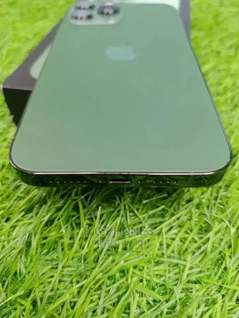 new-apple-iphone-13-pro-max-128-gb-green-big-0