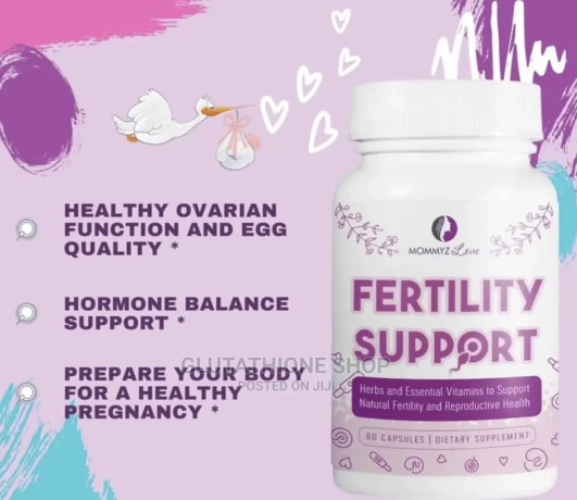 mommyz-love-fertility-pills-for-women-prenatal-vitamins-big-2
