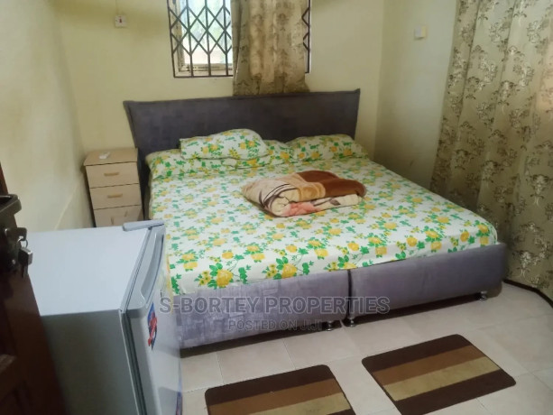 furnished-1bdrm-apartment-in-spintex-collins-for-rent-big-1