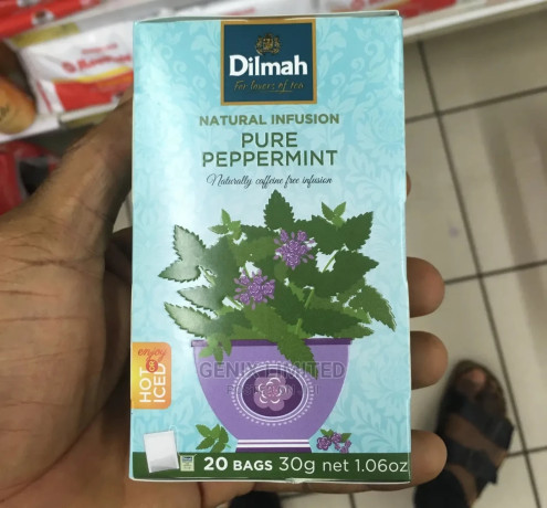 dilmah-pure-peppermint-20-bags-big-0